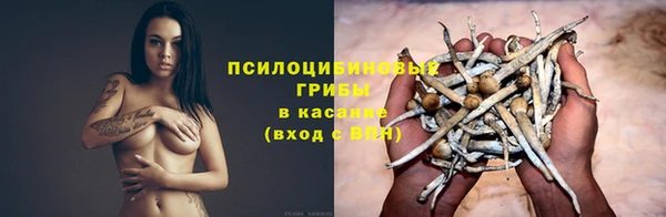тгк Козловка