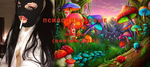 Альфа ПВП Кодинск
