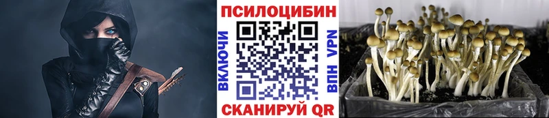 Галлюциногенные грибы Cubensis  Купить где  Сочи 